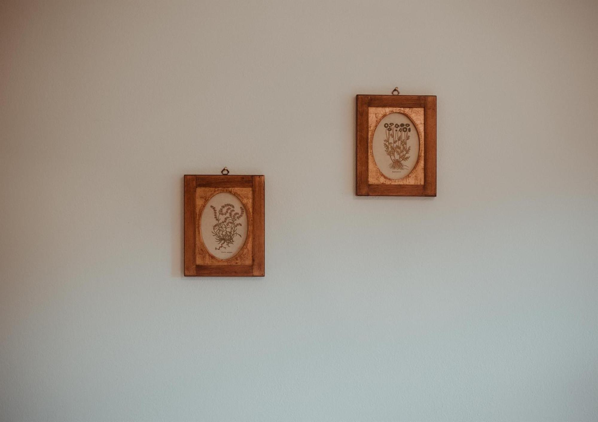 Pension Muehlbacherhof Extérieur photo